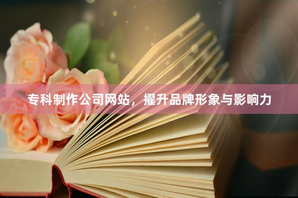专科制作公司网站，擢升品牌形象与影响力