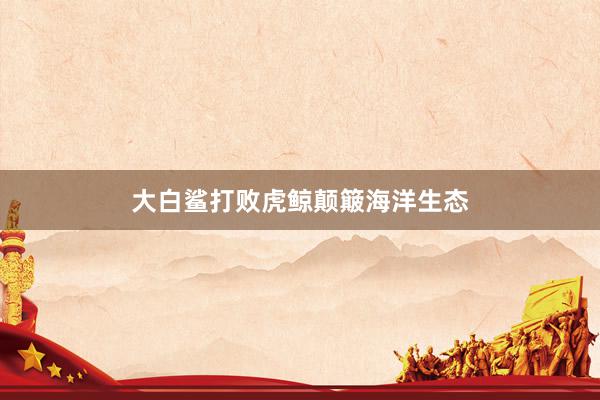大白鲨打败虎鲸颠簸海洋生态