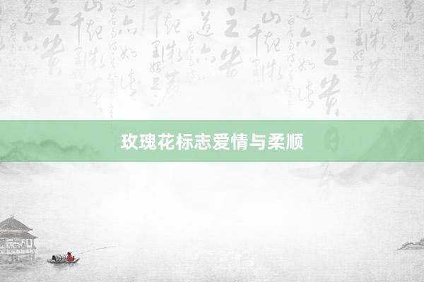 玫瑰花标志爱情与柔顺