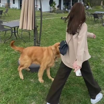 我的罗曼蒂克